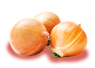 Cebula