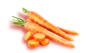 Marchew