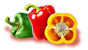 Papryka